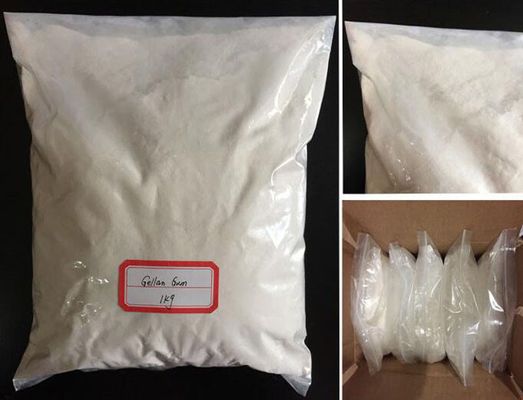 High purity gellan gum powder from China Factory Supply Gellan Gum For Food Additives