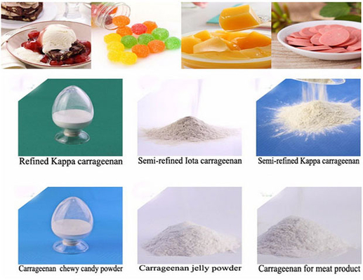e407 jelly powder irish moss iota price semi carrageenan halal carrageenan jelly powder factory from china